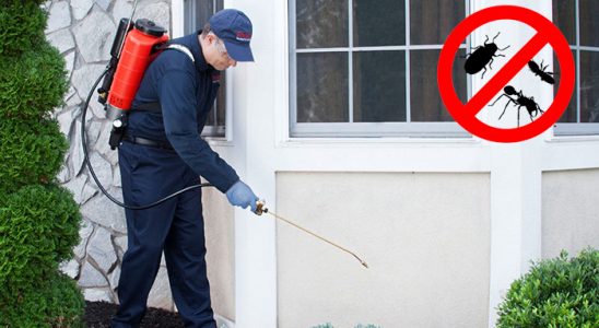 Bozkurt Bit İlaçlama böcek ilaçlama ve haşere kontrolü — ilaclama-tr.com